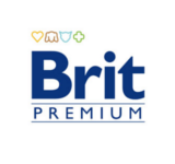 Británico