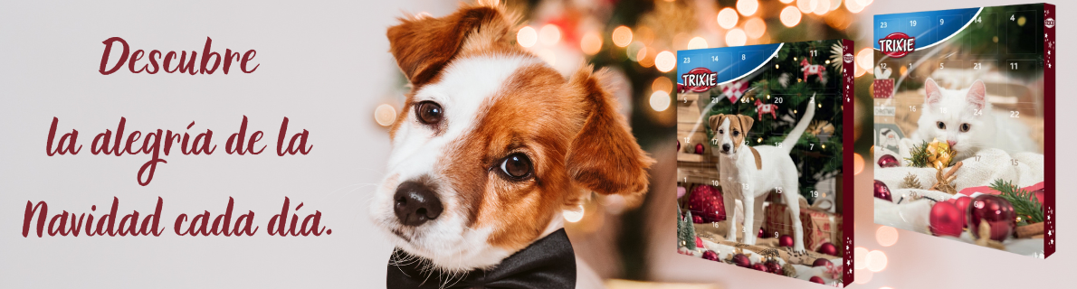 Calendarul de Advent 3.11.2025towary: 5