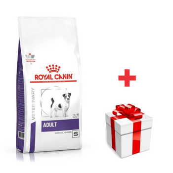 ROYAL CANIN Adulto Perro Pequeño 8kg  + sorpresa gratis