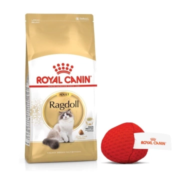 ROYAL CANIN Ragdoll Adulto 10kg + ¡Bola para gatos GRATIS!