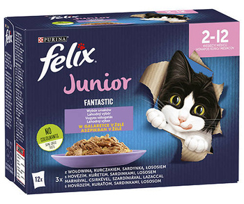 Felix Fantastic Jalea Junior 12x85g