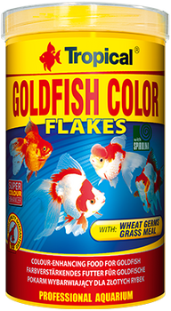 Color Tropical Goldfish 500 ml