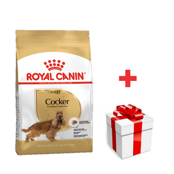 ROYAL CANIN Cocker Spaniel Adulto 12kg + sorpresa gratis