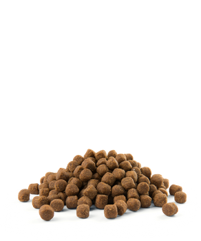 Versele-Laga Opti Life Puppy Sensitive Salmón con Arroz 12,5kg