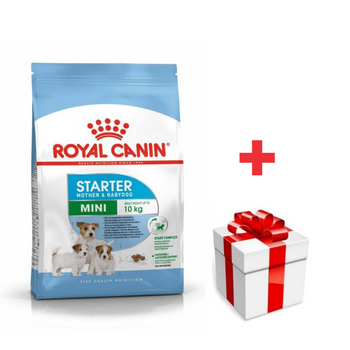 ROYAL CANIN Mini Starter Mother & Babydog 8kg +sorpresa gratis