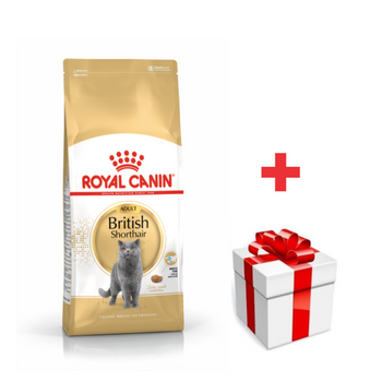ROYAL CANIN British Shorthair Adulto 10kg  + sorpresa gratis