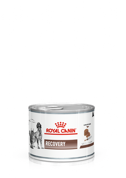 ROYAL CANIN Recuperación 12x195g