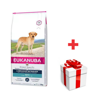 Eukanuba Adulto Labrador Retriever 12kg  + SORPRESA PARA SU PERRO