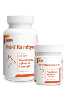 Dolvit Carnitina 90 comprimidos