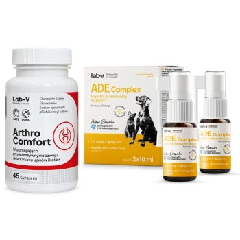 LAB-V Arthro Comfort – Apoyo integral para la salud de las articulaciones y del sistema musculoesquelético para perros y gatos, 45 cápsulas