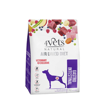4Vets Natural Gastro Intestinal alimento seco para perros con trastornos digestivos 1kg