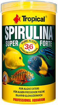 Tropical Super Espirulina Forte 250 ml