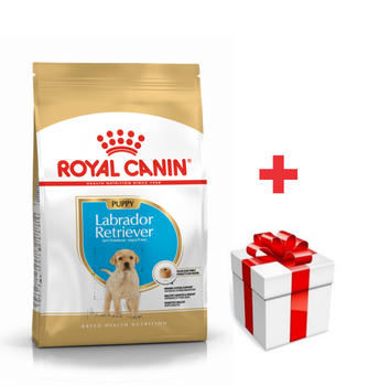 ROYAL CANIN Labrador Retriever Cachorro 12kg  + sorpresa gratis