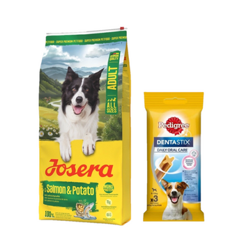 JOSERA Adult Salmon & Potato 12,5kg + DentaStix ¡GRATIS!