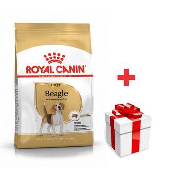 ROYAL CANIN Beagle Adulto 12kg + sorpresa gratis
