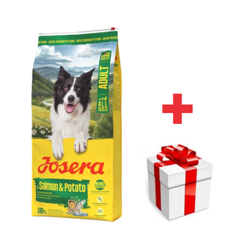 JOSERA Adult Salmon & Potato 12,5kg + ¡Sorpresa para tu Perro GRATIS!