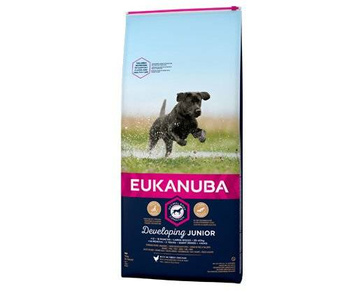Eukanuba Junior Grande 15kg + sorpresa GRATUITA