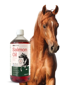 Aceite de salmón Lab-v – 100% aceite de salmón del Atlántico para caballos 1000 ml