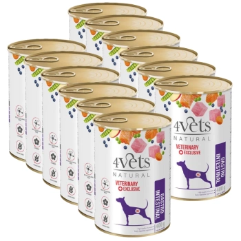 Dolina Noteci 4Vets Gastro Intestinal para perros 12x400g
