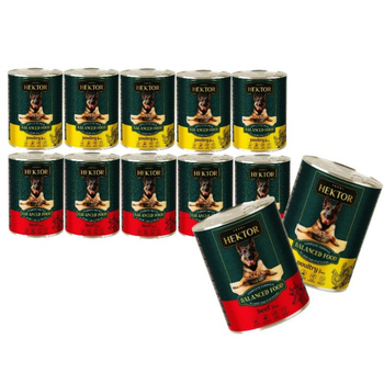 Hektor 12x1240g Mezcla de Sabores