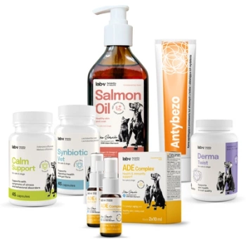 Lab-v Pet Care Box MAXI – Set de regalo para gatos