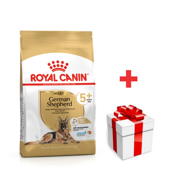 ROYAL CANIN Pastor Alemán Adulto 5+ 12kg + sorpresa gratis