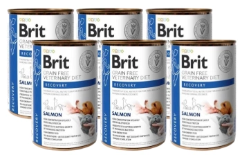 Brit Grain Free Veterinary Diet Recuperación Perro/Gato Salmón 6x400g