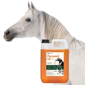 Aceite de linaza Lab-v – 100% aceite de linaza prensado en frío para caballos 5000 ml