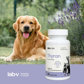 LAB-V Thyron - Apoyo a la función tiroidea normal para perros y gatos 45 cápsulas