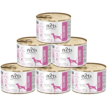 4Vets Diabetes para perros 6x185 g