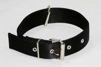 Collar Dingo con cierre flojo para correa de perro Negro 70cm