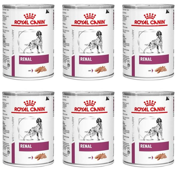ROYAL CANIN Renal 6x410g