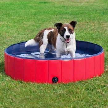 Piscina para perros, 80x20cm roja + ¡Sorpresa para tu Perro GRATIS!