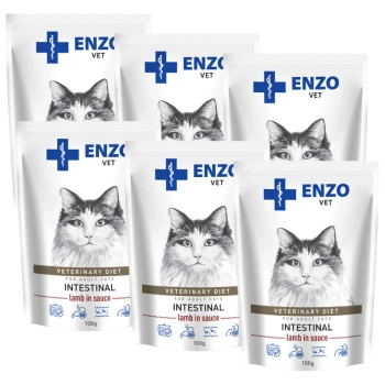 ENZO VET Intestinal con cordero en salsa para gatos 6x100g