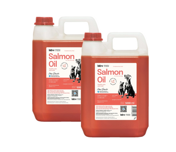 Lab-V 100% Aceite de Salmón para Perros y Gatos de Todas las Edades 2x5000 ml Prensado en Frío