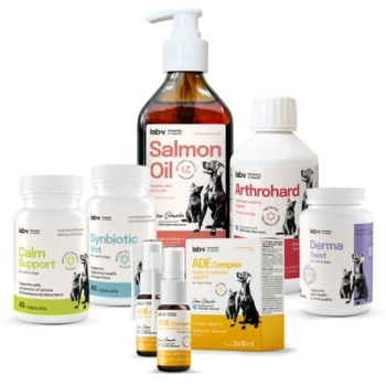 Lab-v Pet Care Box MAXI – Set de regalo para perros