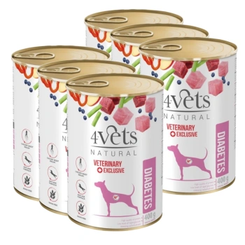 Dolina Noteci 4Vets Diabetes para perros 6x400g