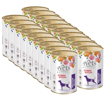 Dolina Noteci 4Vets Gastro Intestinal para perros 18x400g