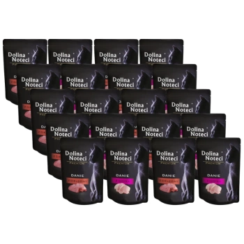 Plato Premium Dolina Noteci Mezcla de Sabores 20x85 g