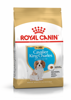 ROYAL CANIN Cavalier King Charles Spaniel Cachorro 1.5kg
