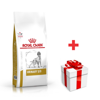 ROYAL CANIN Urinary S/O 13kg  + sorpresa gratis