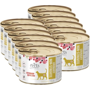 4Vets Cat Urinary Non-struvite 12x185 g