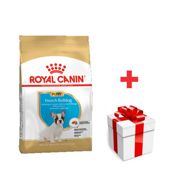 ROYAL CANIN Bulldog Francés Cachorro 10kg  + sorpresa gratis