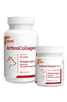 Dolfos ArthroCollagen 90 Comprimidos