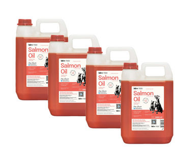 Lab-V 100% Aceite de Salmón para Perros y Gatos de Todas las Edades 4x5000 ml Prensado en Frío