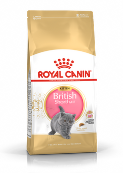 ROYAL CANIN Gatito Británico de Pelo Corto 2kg