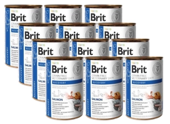 Brit Grain Free Veterinary Diet Recuperación Perro/Gato Salmón 12x400g