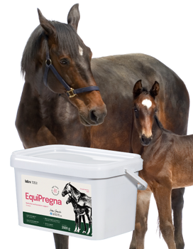 Lab-v EquiPregna - Alimento complementario para yeguas gestantes y lactantes para favorecer la gestación, el desarrollo fetal y la producción de leche 2kg