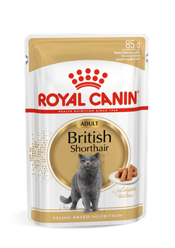 ROYAL CANIN British Shorthair Adulto 12x85g