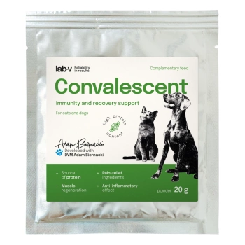 LAB-V CONVALESCENTE pienso dietético para perros y gatos 20 g